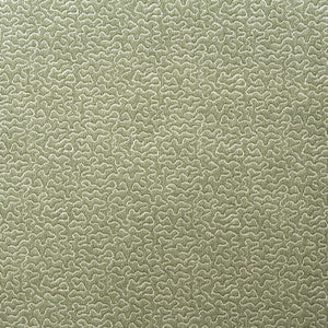 Pollen Leaf by Kravet Designer Fabric