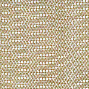 Audley Outdoor Ochre by Kravet Designer Fabric