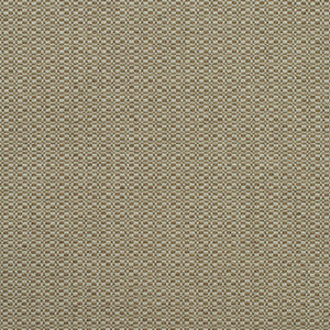 Birch Autumn AM100390.624.0 By Kravet Couture Designer Fabric