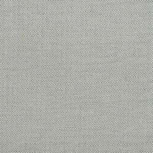 Birds Foot Storm AM100391.1121.0 By Kravet Couture Designer Fabric