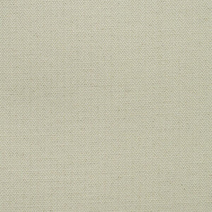 Birds Foot Chalk AM100391.1.0 By Kravet Couture Designer Fabric
