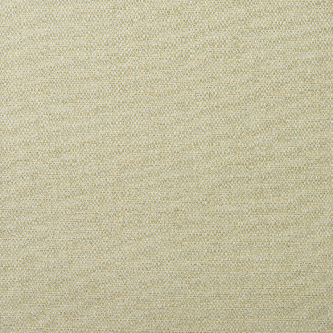 Jetty - Gannet AM100438.416.0 by Kravet Couture Designer Fabric