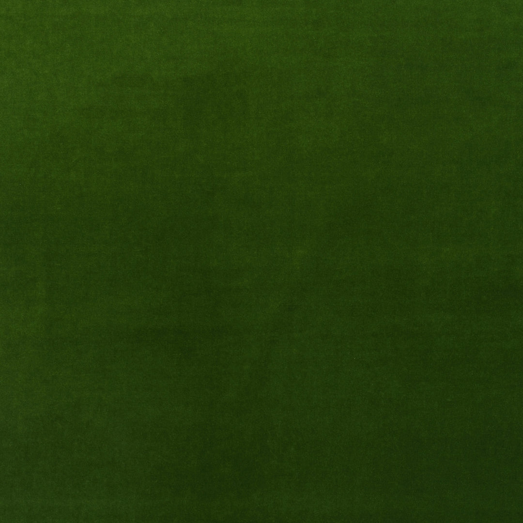 Medici - Ivy AM100443.3.0 by Kravet Couture Designer Fabric