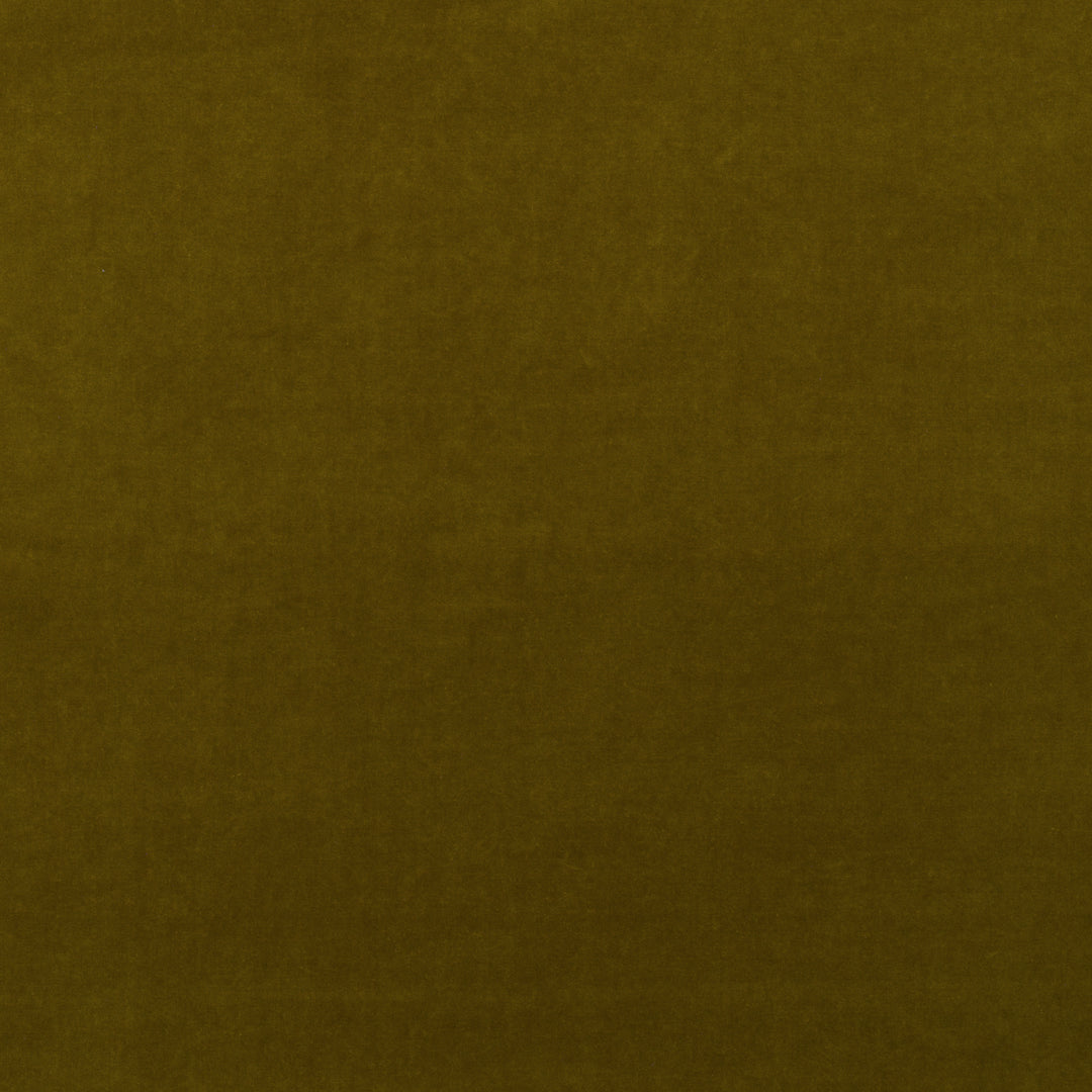 Medici - Olive AM100443.34.0 by Kravet Couture Designer Fabric
