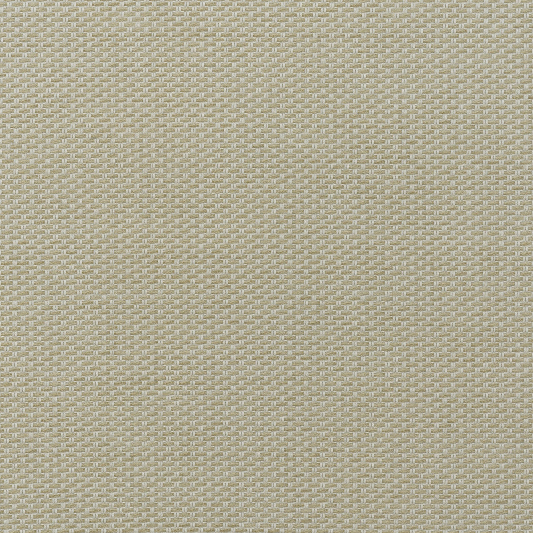 Taormina - Stone AM100477.16.0 by Kravet Couture Designer Fabric