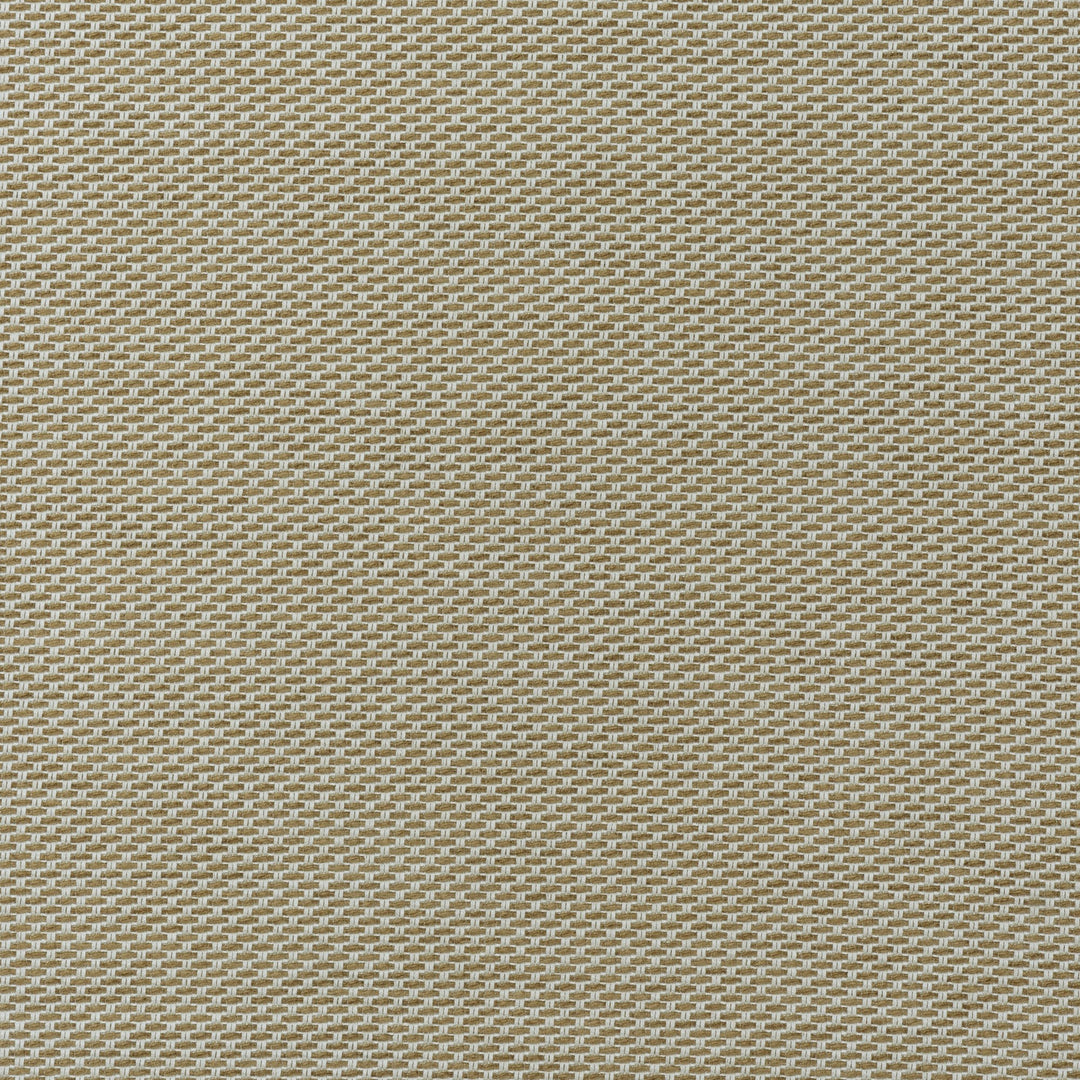 Taormina - Almond AM100477.166.0 by Kravet Couture Designer Fabric