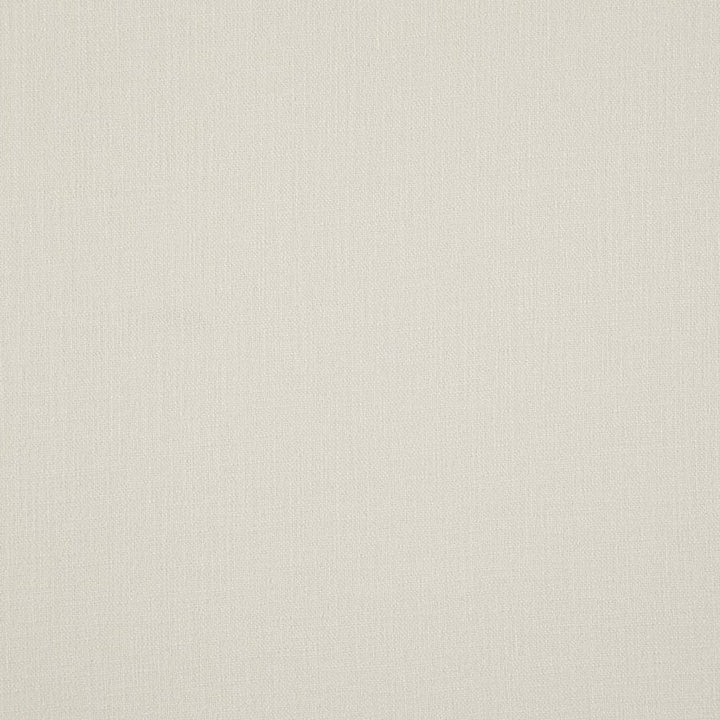 Award # 46 Sugar by Maxwell Designer Fabric WEAVE WORKS III 100% POLYESTER INDIA 55" - Swanky Fabrics -