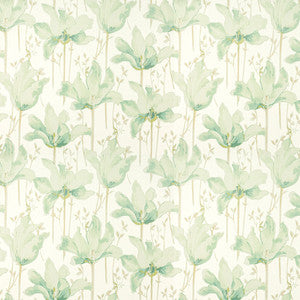 Amateur 2 Sage by Stout Designer Fabric