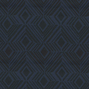 Aspire 308 Midnight by Endurepel Designer Fabric