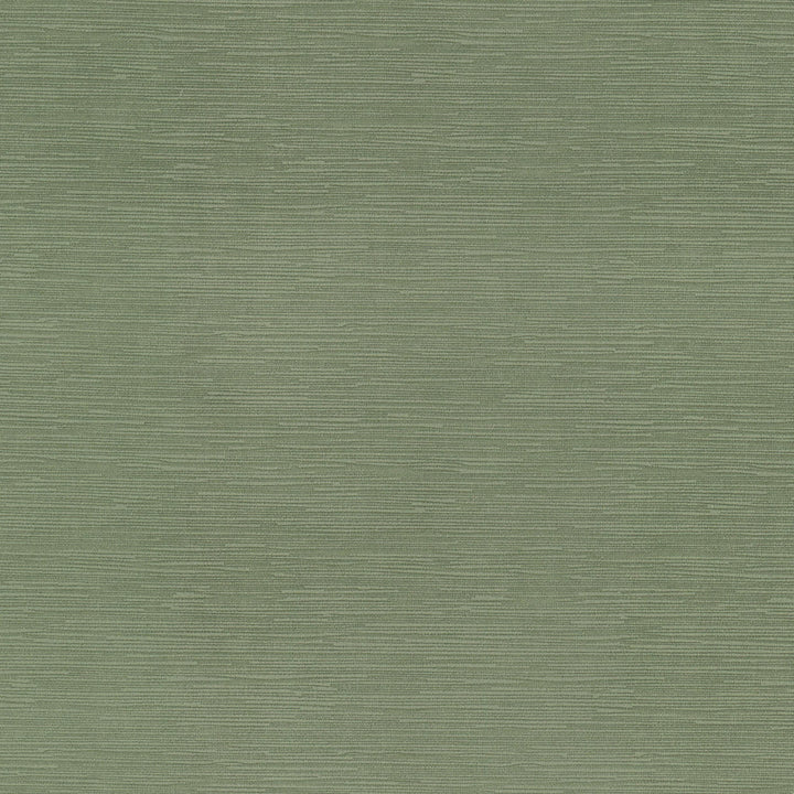 Amorous 1 Basil by Marcus William Fabric Marcus William Fabric Amorous 1 BasilFabric MARCUS WILLIAM WORLD VIEW 100%POL CHINA </p><p>Repeat: H: 0.000, V: 0.000 55 in - Fabric Carolina -