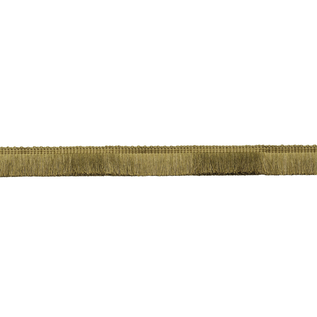 Florentia - Gold AMT10006.4.0 by Kravet Couture Designer Trim