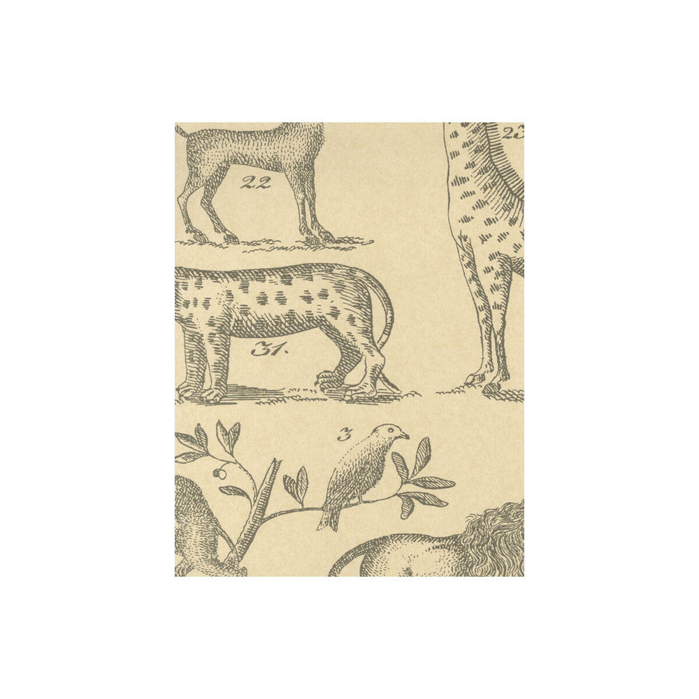 Ark Parchment by Kravet Couture Designer Wallcovering ANDREW MARTIN MUSEUM PAPER - 100% United Kingdom Horizontal: and Vertical: 26.5 20.5 - Swanky Fabrics -