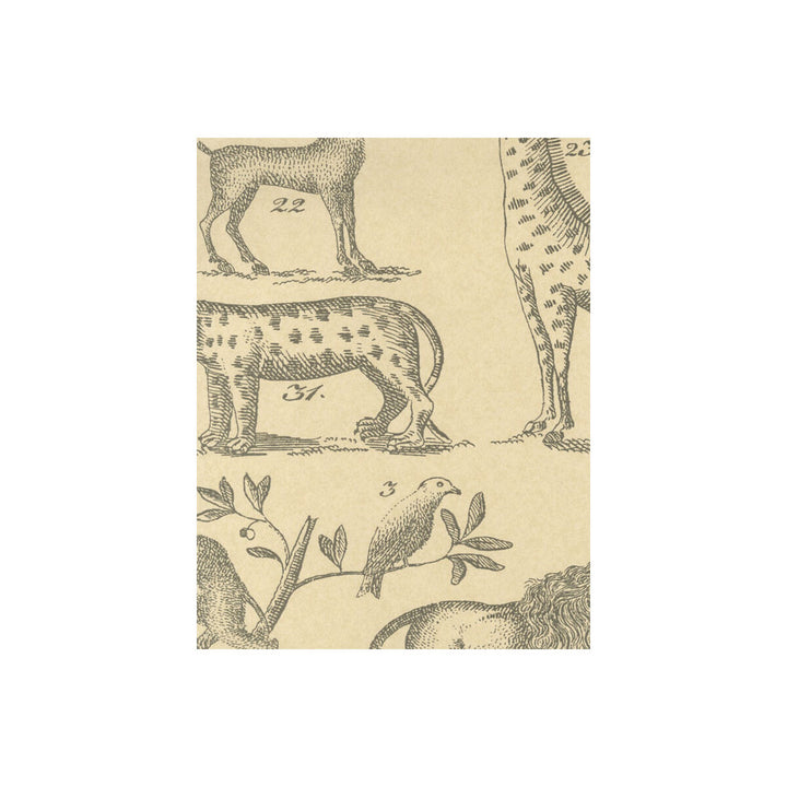 Ark Parchment by Kravet Couture Designer Wallcovering ANDREW MARTIN MUSEUM PAPER - 100% United Kingdom Horizontal: and Vertical: 26.5 20.5 - Swanky Fabrics -