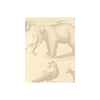 Ark Sand by Kravet Couture Designer Wallcovering