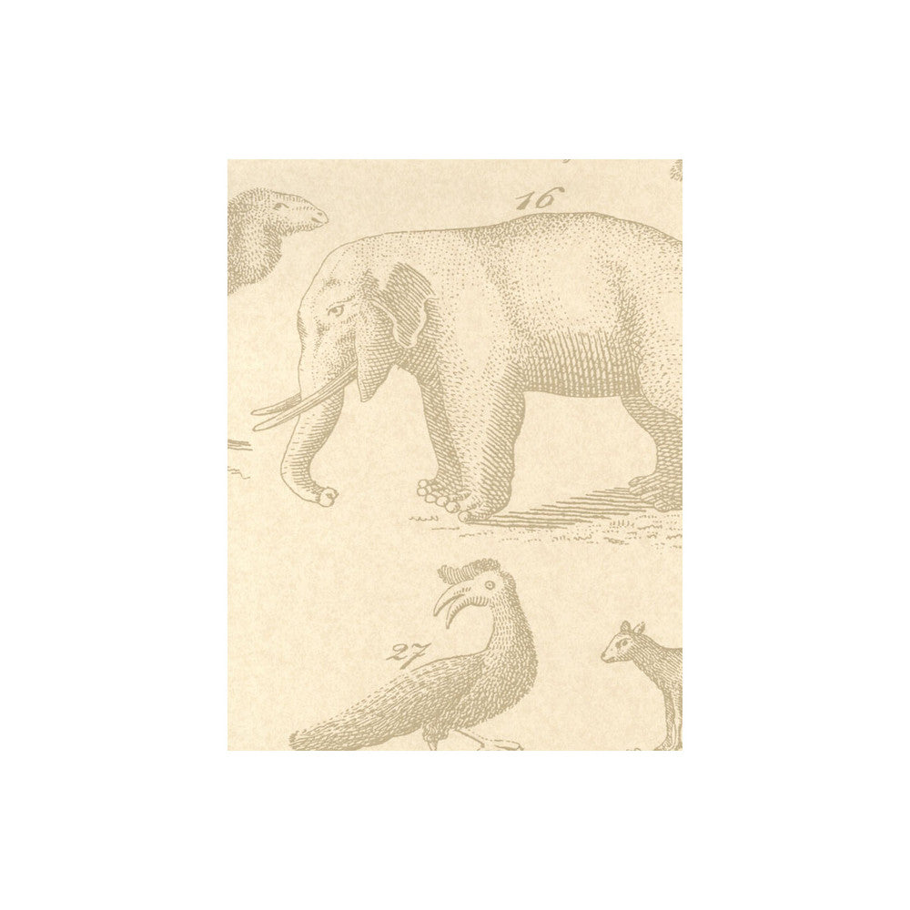 Ark Sand by Kravet Couture Designer Wallcovering ANDREW MARTIN MUSEUM PAPER - 100% United Kingdom Horizontal: and Vertical: 26.5 20.5 - Swanky Fabrics -