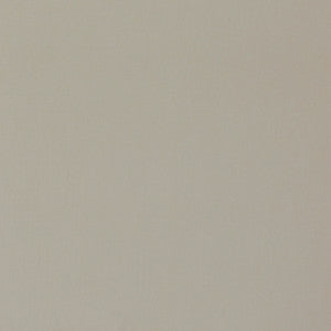 Amber # 127 Pumice by Maxwell Designer Fabric