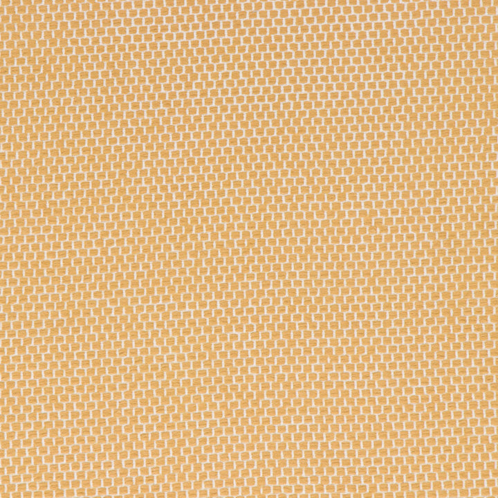 Anafi Goldenrod by Bella-Dura Designer Fabric  100% BELLA DURA POLYOLEFIN USA 70000 H: N/A V: N/A 53.5''  - Swanky Fabrics -