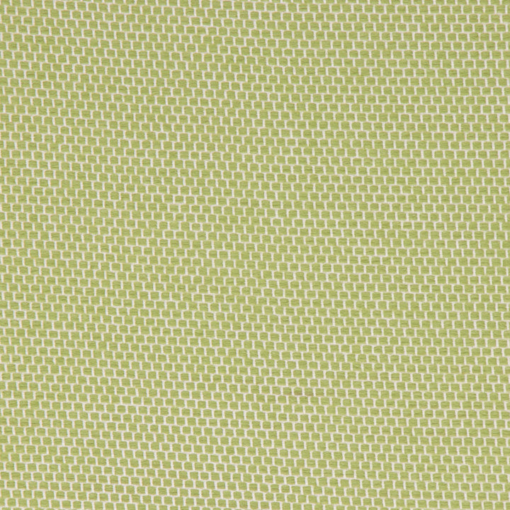 Anafi Meadow by Bella-Dura Designer Fabric  100% BELLA DURA POLYOLEFIN USA 70000 H: N/A V: N/A 53.5''  - Swanky Fabrics -