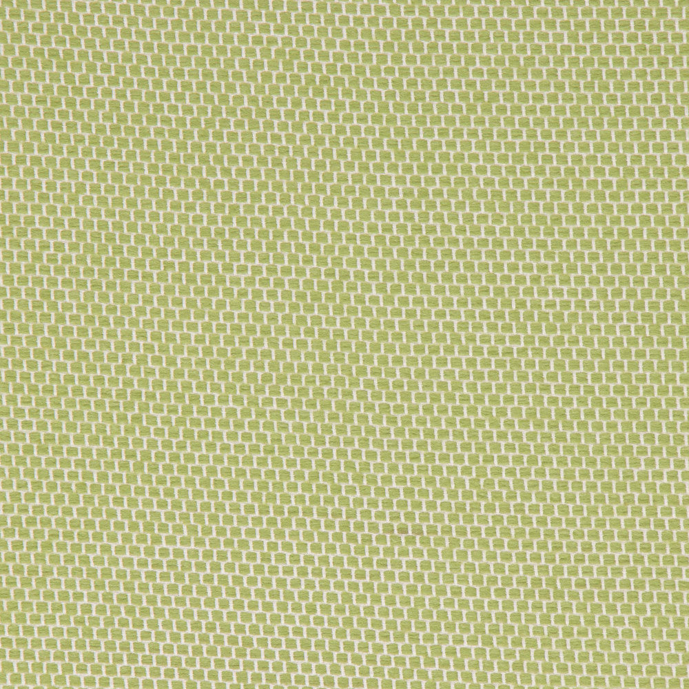 Anafi Meadow by Bella-Dura Designer Fabric  100% BELLA DURA POLYOLEFIN USA 70000 H: N/A V: N/A 53.5''  - Swanky Fabrics -