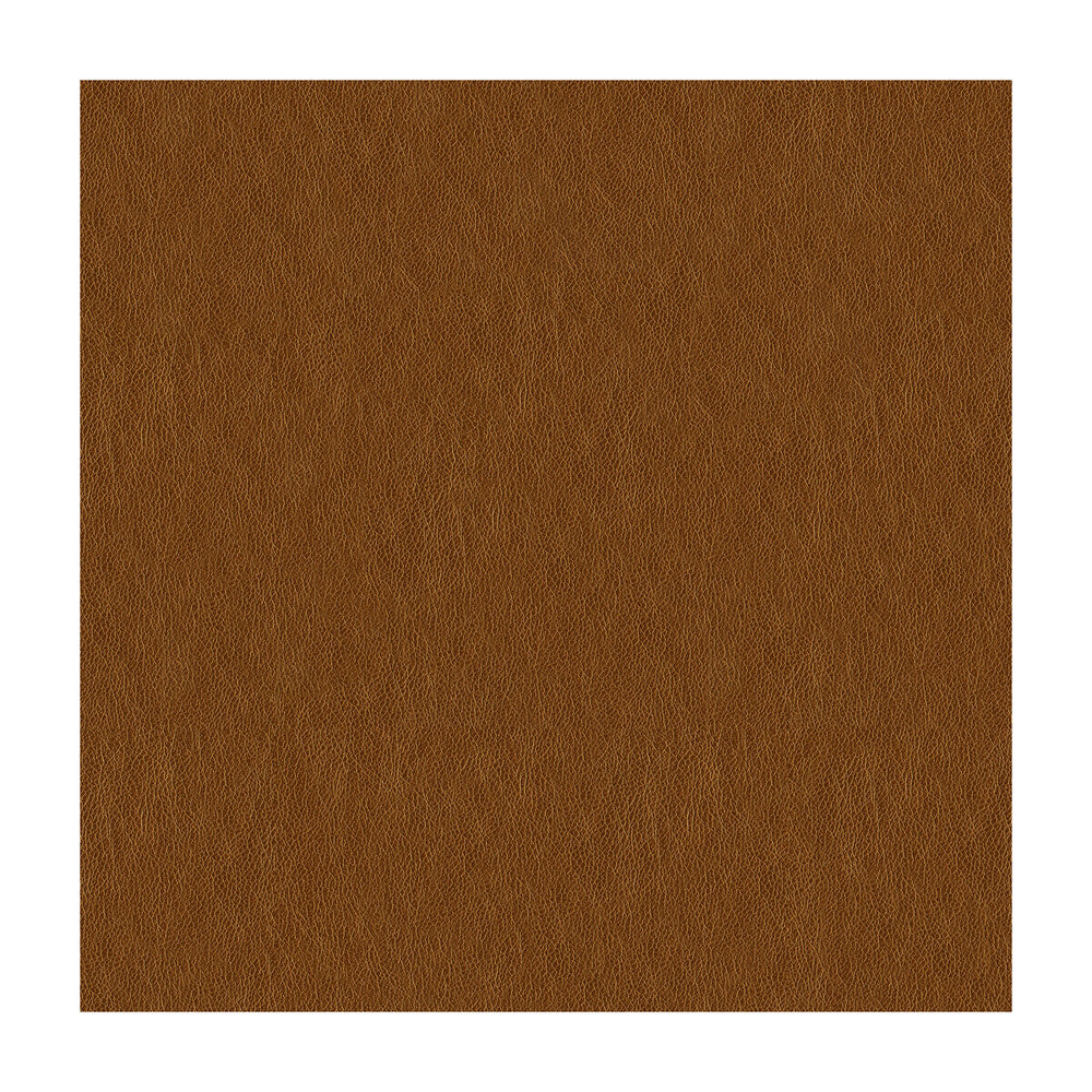 Kravet Smart Ani-404 by Kravet Smart Fabric Kravet Smart Fabric Kravet Smart Ani-404Fabric POLYURETHANE - 100% China </p><p>Repeat: H: , V: 54 - Fabric Carolina -