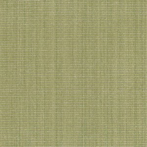 Anvil Lime by Norbar Designer Fabric JAZZ 52% COTTON 31% POLYESTER CHINA 58 - Swanky Fabrics -