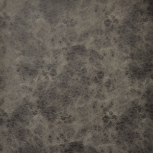Atacama # 109 Aluminum by Maxwell Designer Fabric
