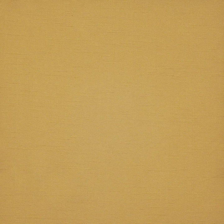 Apollonia # 538 Tuscany by Maxwell Designer Fabric Pure & Simple Xii 100% POLYESTER INDIA 54" - Swanky Fabrics -