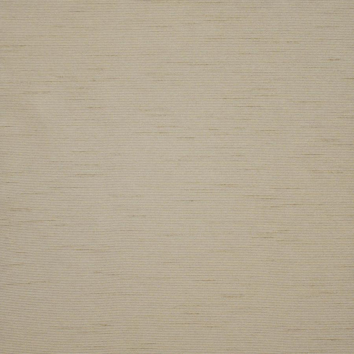 Apollonia # 561 Almond by Maxwell Designer Fabric Pure & Simple Xii 100% POLYESTER INDIA 54" - Swanky Fabrics -