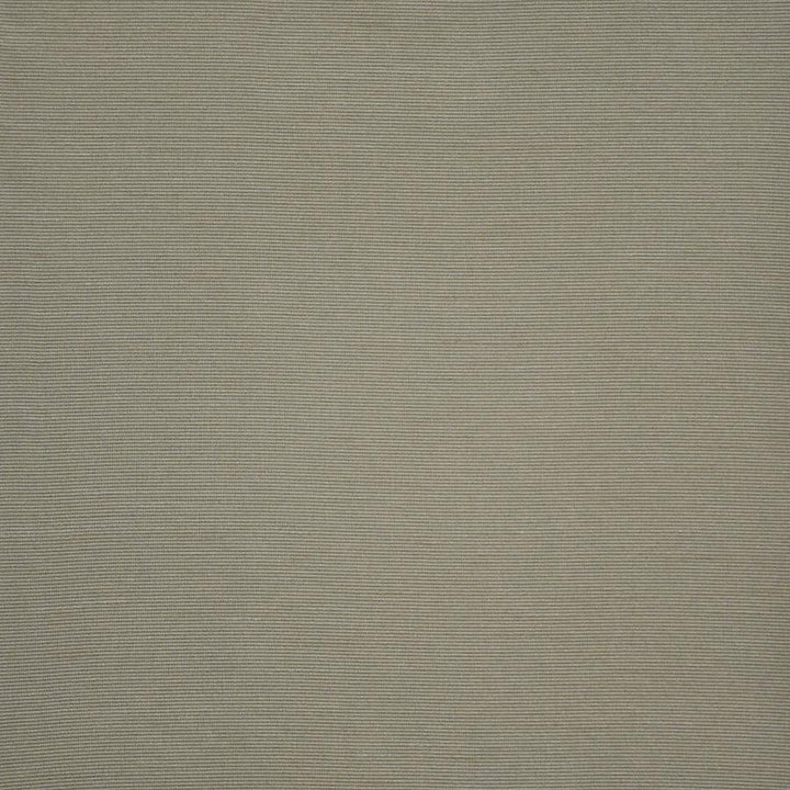 Apollonia # 576 Ivy by Maxwell Designer Fabric Pure & Simple Xii 100% POLYESTER INDIA 54" - Swanky Fabrics -
