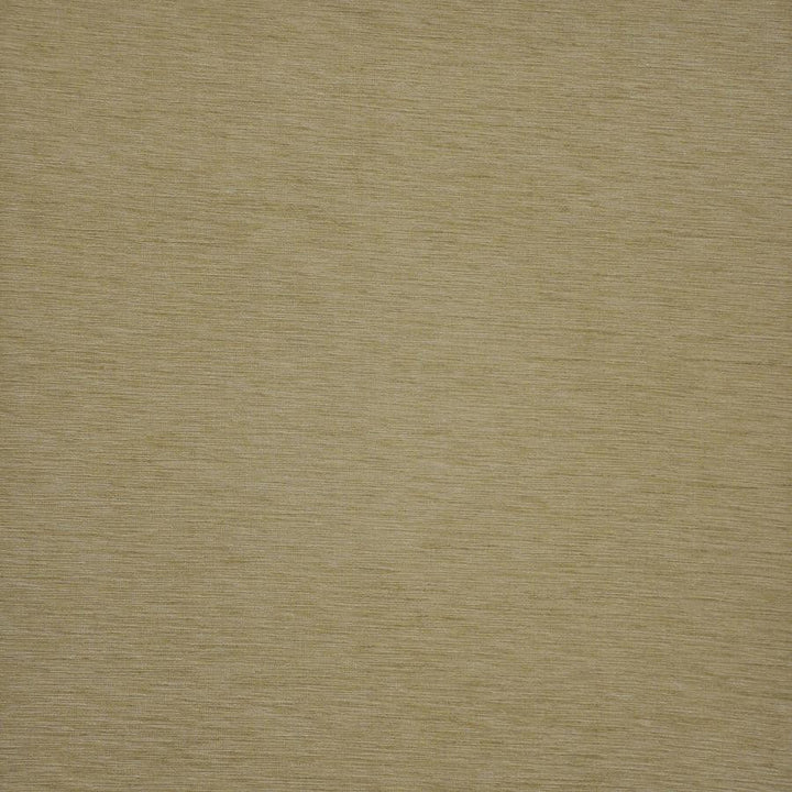 Asolo # 572 Sesame by Maxwell Designer Fabric Pure & Simple Xii 100% POLYESTER INDIA 54" - Swanky Fabrics -