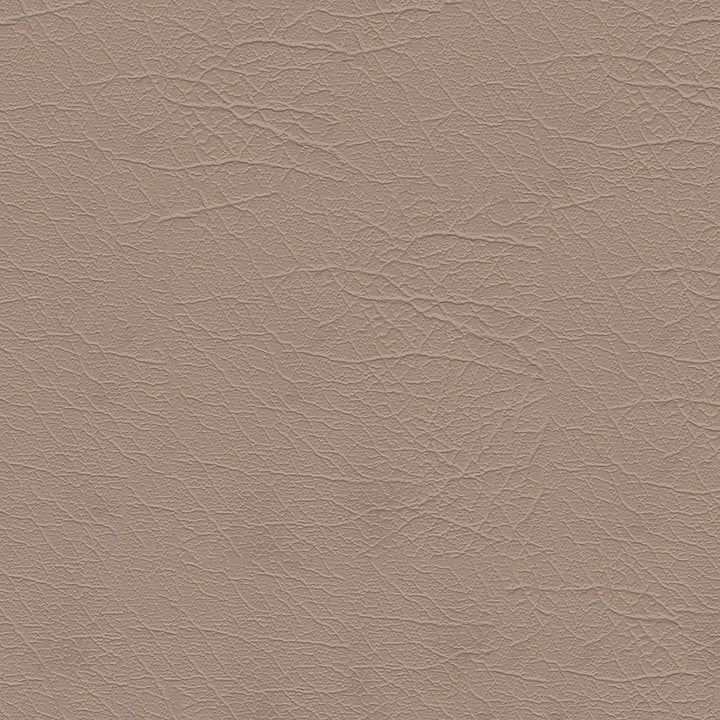 Aries 1604 Sand Dollar 54" by Softside Designer Fabric 100% Polyvinyl Chloride (PVC) Columbia 50,000 Double Rubs (Wyzenbeek) </p><p>Repeat: Horizontal: and Vertical: 54" (137 cm) - Swanky Fabrics -