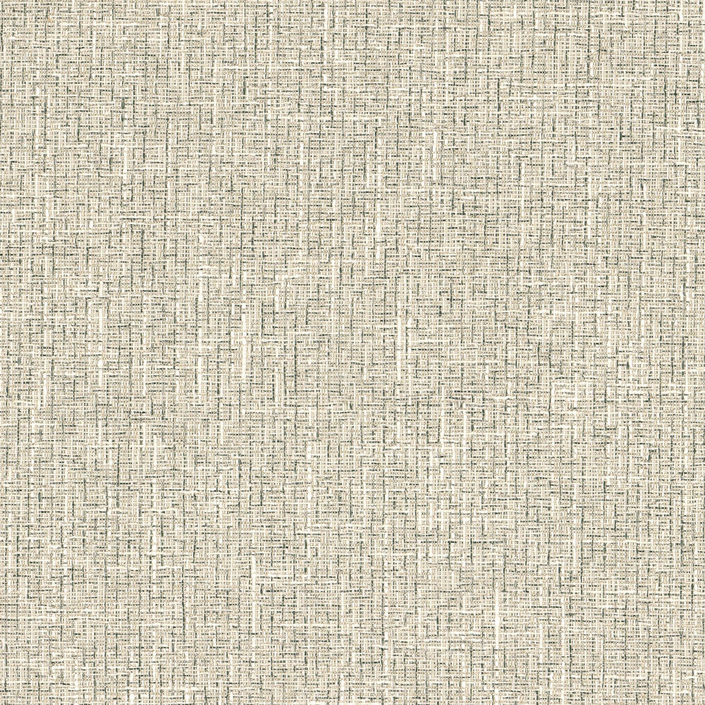 Arkansas 1 Black/Ivory by Stout Designer Fabric COLOR MY WINDOW SMOKE/CHARCOAL 63%POL 37%COT INDIA Horizontal: 0.000 and Vertical: 0.000 57 in - Swanky Fabrics -