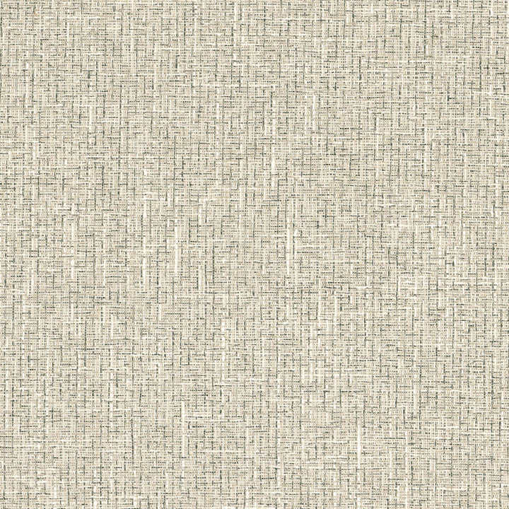 Arkansas 1 Black/Ivory by Stout Designer Fabric COLOR MY WINDOW SMOKE/CHARCOAL 63%POL 37%COT INDIA Horizontal: 0.000 and Vertical: 0.000 57 in - Swanky Fabrics -