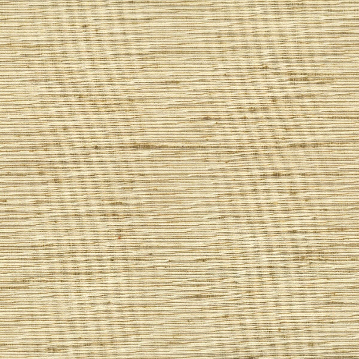 Arrangement 1 Brass by Stout Designer Fabric COLOR MY WINDOW NATURAL/TOAST 100%POL INDIA FLAME RETARDANT-N.F.P.A. 701 SMALL SCALE Horizontal: 0 and Vertical: 0 54 in - Swanky Fabrics -