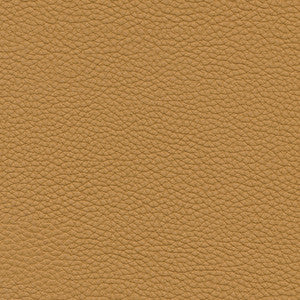 Andalusia-Nj # 617 Biscuit by Maxwell Designer Fabric