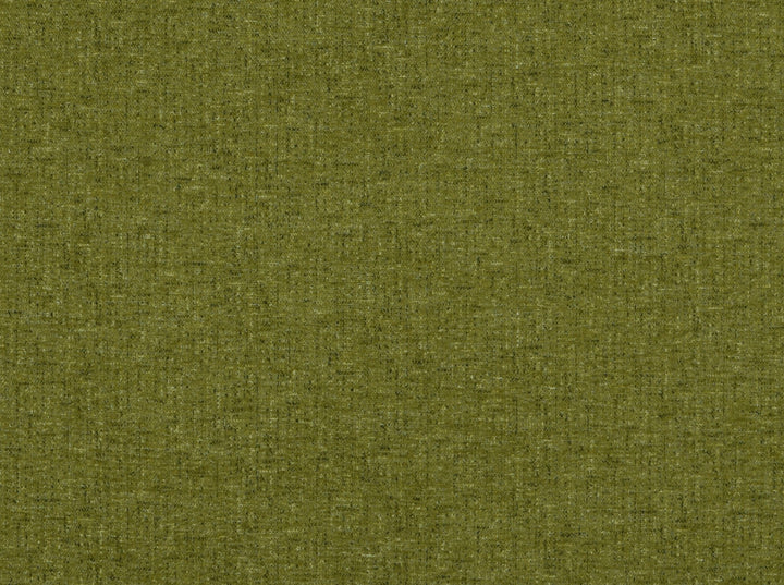 Aster Avocado 200 by Covington Designer Fabric 100% POLYESTER CHN 81000 Horizontal: 0 and Vertical: 0 57 - Swanky Fabrics -