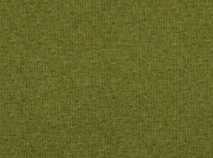 Aster Avocado 200 by Covington Designer Fabric our website for purchase 100% Polyester China 81000 Horizontal: 0" and Vertical: 0" 58" - Swanky Fabrics -