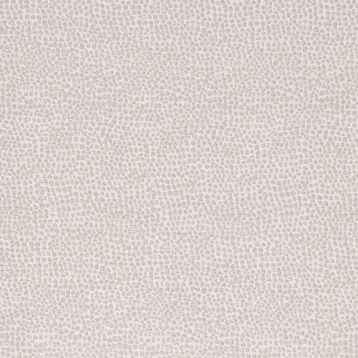 Astoria Dove by Bella-Dura Designer Fabric  100% BELLA DURA POLYOLEFIN USA 70000 H: N/A V: N/A 53.5''  - Swanky Fabrics -
