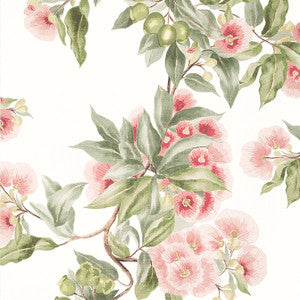Camellia Garden Coral AT24550 by Anna French Designer Wallpaper