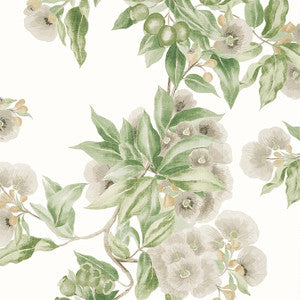 Camellia Garden Spring on White AT24551 by Anna French Designer Wallpaper