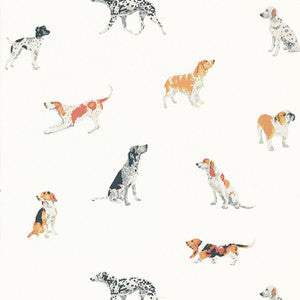 Buddy Multi AT24600 by Anna French Designer Wallpaper