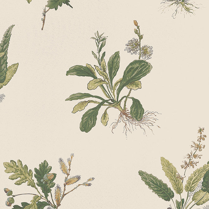 Woodland Green on Natural AT57853 by Anna French Wallpaper Anna French Wallpaper Woodland Green on Natural AT57853Wallpaper Bristol Non Woven Wallpaper UNITED KINGDOM </p><p>Repeat: V: 21.5 20.5 - Fabric Carolina -