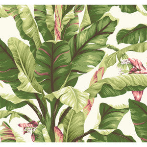 Banana Leaf Dark Brown & Pink Wallpaper by York Wallcoverings Designer