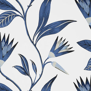 Cleo Vine Blue and White AT9621 by Anna French Designer Wallpaper