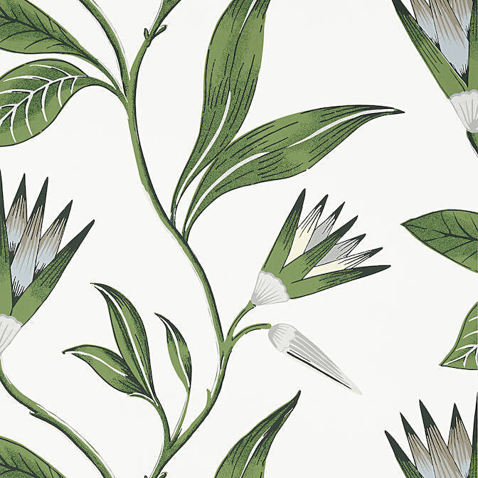 Cleo Vine Green and White AT9622 by Anna French Wallpaper Anna French Wallpaper Cleo Vine Green and White AT9622Wallpaper Savoy Non Woven Wallpaper U.S.A. </p><p>Repeat: V: 25.25 27 - Fabric Carolina -
