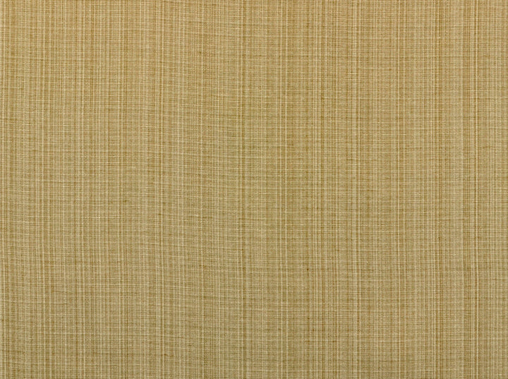 Aurora Seashell 114 by Covington Designer Fabric 59% POLYESTER/41% COTTON INA 25000 Horizontal: 0.85 and Vertical: 1.7 54 - Swanky Fabrics -