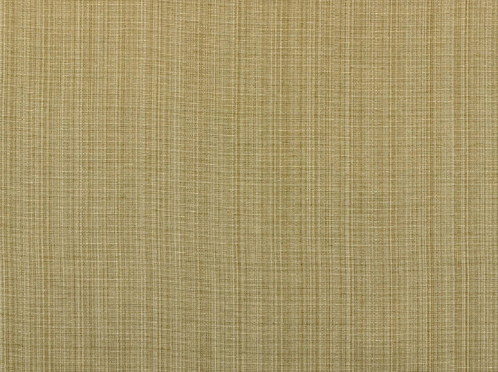 Aurora Seashell 114 by Covington Designer Fabric our website for purchase 59% Polyester/41% Cotton India 50000 Horizontal: 0.85" and Vertical: 1.7" 54" - Swanky Fabrics -