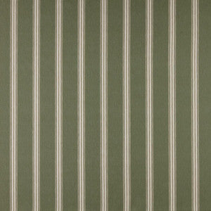 Ashford # 618 Lichen by Maxwell Designer Fabric