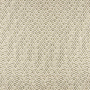 Aster # 503 Sage by Maxwell Designer Fabric
