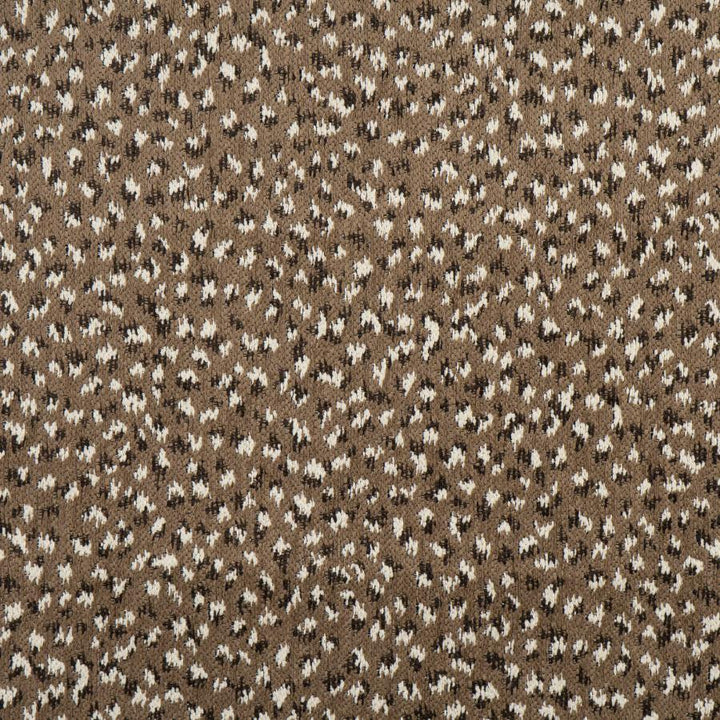Ainslie # 724 Pebble by Maxwell Designer Fabric Performance Wovens-Vol. Viii Quarry 84% POLYESTER
16% COTTON USA V-13.9" H-14" 55" - Swanky Fabrics -